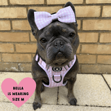 Trail & Glow® Dog Harness Bundle Set - Gingham Dreams - Bailey and Coco (UK)