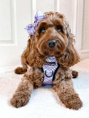 Trail & Glow® Dog Harness Bundle Set - Lilac Haze - Bailey and Coco (UK)