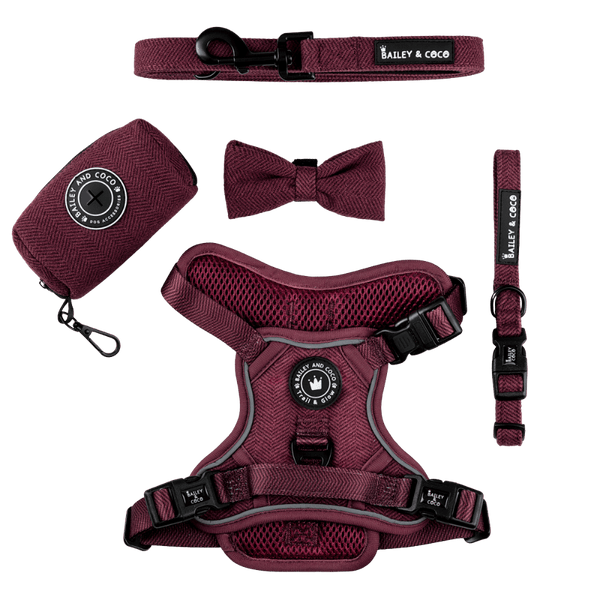 Trail & Glow® Dog Harness Bundle Set - Mulberry Tweed - Bailey and Coco (UK)