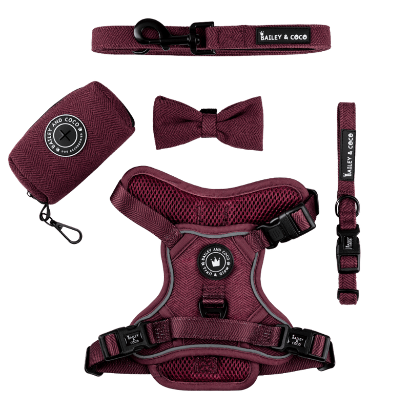 Trail & Glow® Dog Harness Bundle Set - Mulberry Tweed - Bailey and Coco (UK)