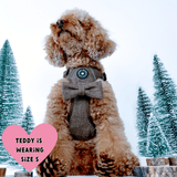 Trail & Glow® Dog Harness Bundle Set - Oxford Tweed - Bailey and Coco (UK)