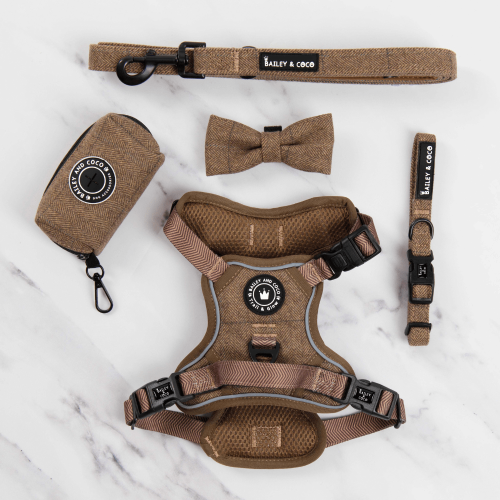 Trail & Glow® Dog Harness Bundle Set - Oxford Tweed - Bailey and Coco (UK)