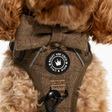 Trail & Glow® Dog Harness Bundle Set - Oxford Tweed - Bailey and Coco (UK)