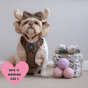 Trail & Glow® Dog Harness Bundle Set - Oxford Tweed - Bailey and Coco (UK)
