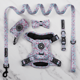 Trail & Glow® Dog Harness Bundle Set - Peony Blossom - Bailey and Coco (UK)