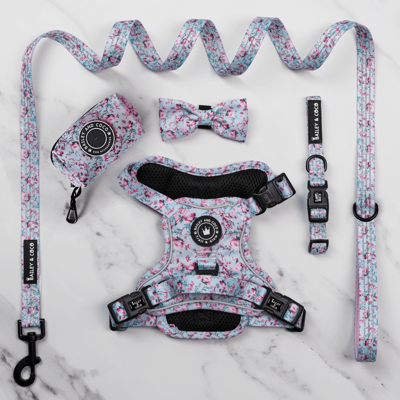Trail & Glow® Dog Harness Bundle Set - Peony Blossom - Bailey and Coco (UK)