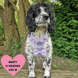 Trail & Glow® Dog Harness Bundle Set - Peony Blossom - Bailey and Coco (UK)