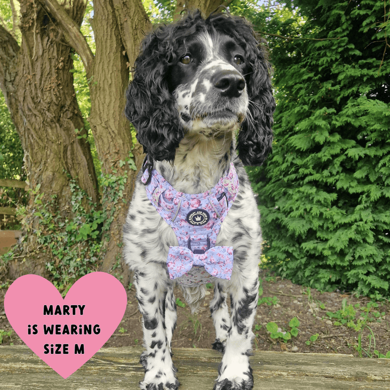 Trail & Glow® Dog Harness Bundle Set - Peony Blossom - Bailey and Coco (UK)