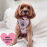 Trail & Glow® Dog Harness Bundle Set - Peony Blossom - Bailey and Coco (UK)
