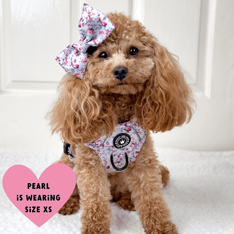 Trail & Glow® Dog Harness Bundle Set - Peony Blossom - Bailey and Coco (UK)