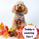 Trail & Glow® Dog Harness Bundle Set - Rustic Tartan - Bailey and Coco (UK)