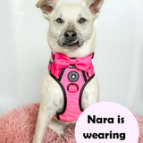 Trail & Glow® Dog Harness Bundle Set - The Hot Pink One - Bailey and Coco (UK)