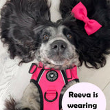 Trail & Glow® Dog Harness Bundle Set - The Hot Pink One - Bailey and Coco (UK)