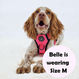 Trail & Glow® Dog Harness Bundle Set - The Hot Pink One - Bailey and Coco (UK)