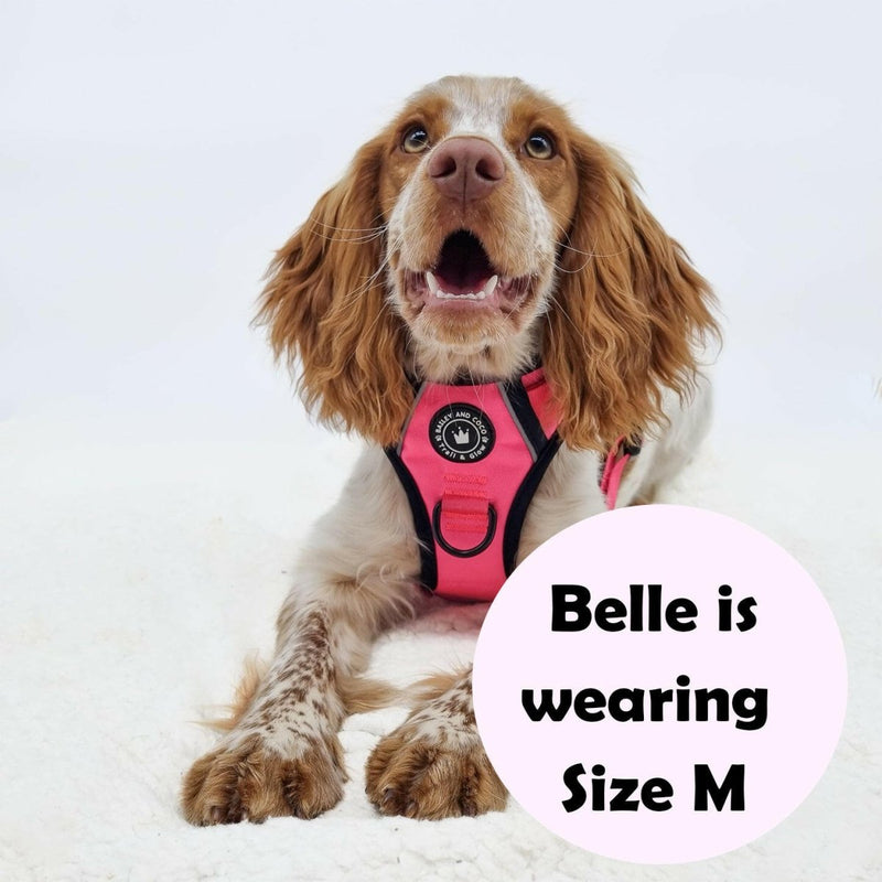 Trail & Glow® Dog Harness Bundle Set - The Hot Pink One - Bailey and Coco (UK)