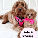 Trail & Glow® Dog Harness Bundle Set - The Hot Pink One - Bailey and Coco (UK)