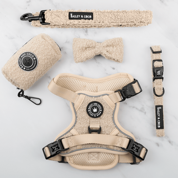 Trail & Glow® Dog Harness Bundle Set - Vanilla Teddy - Bailey and Coco (UK)
