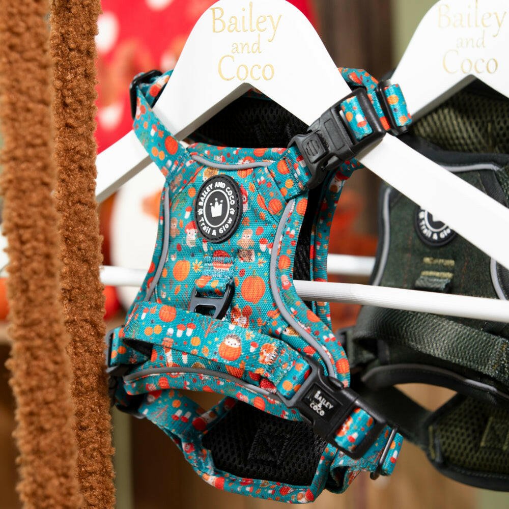 Trail & Glow® Dog Harness Bundle Set - Woodland Magic - Bailey and Coco (UK)