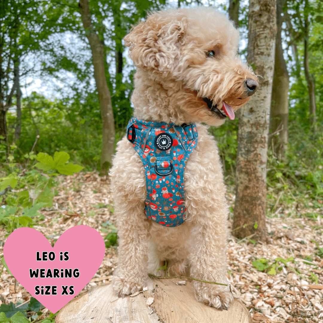 Trail & Glow® Dog Harness Bundle Set - Woodland Magic - Bailey and Coco (UK)