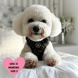 Trail & Glow® Dog Harness - Celestial - Bailey and Coco (UK)