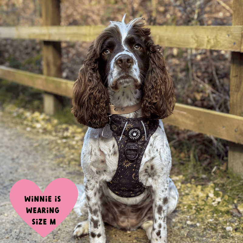 Trail & Glow® Dog Harness - Celestial - Bailey and Coco (UK)