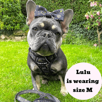 Lulu pink dog harness online