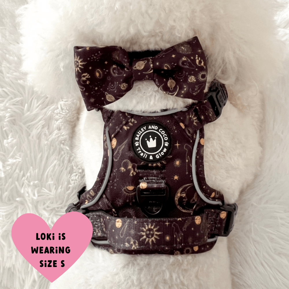 Trail & Glow® Dog Harness - Celestial - Bailey and Coco (UK)
