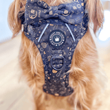 Trail & Glow® Dog Harness - Celestial - Bailey and Coco (UK)