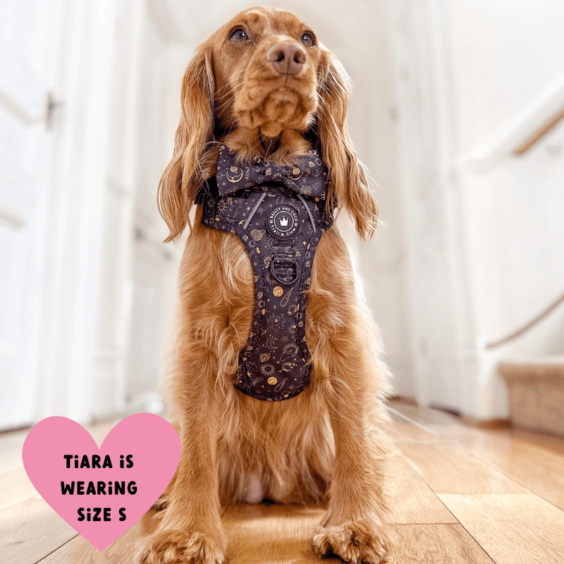 Trail & Glow® Dog Harness - Celestial - Bailey and Coco (UK)