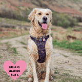 Trail & Glow® Dog Harness - Celestial - Bailey and Coco (UK)