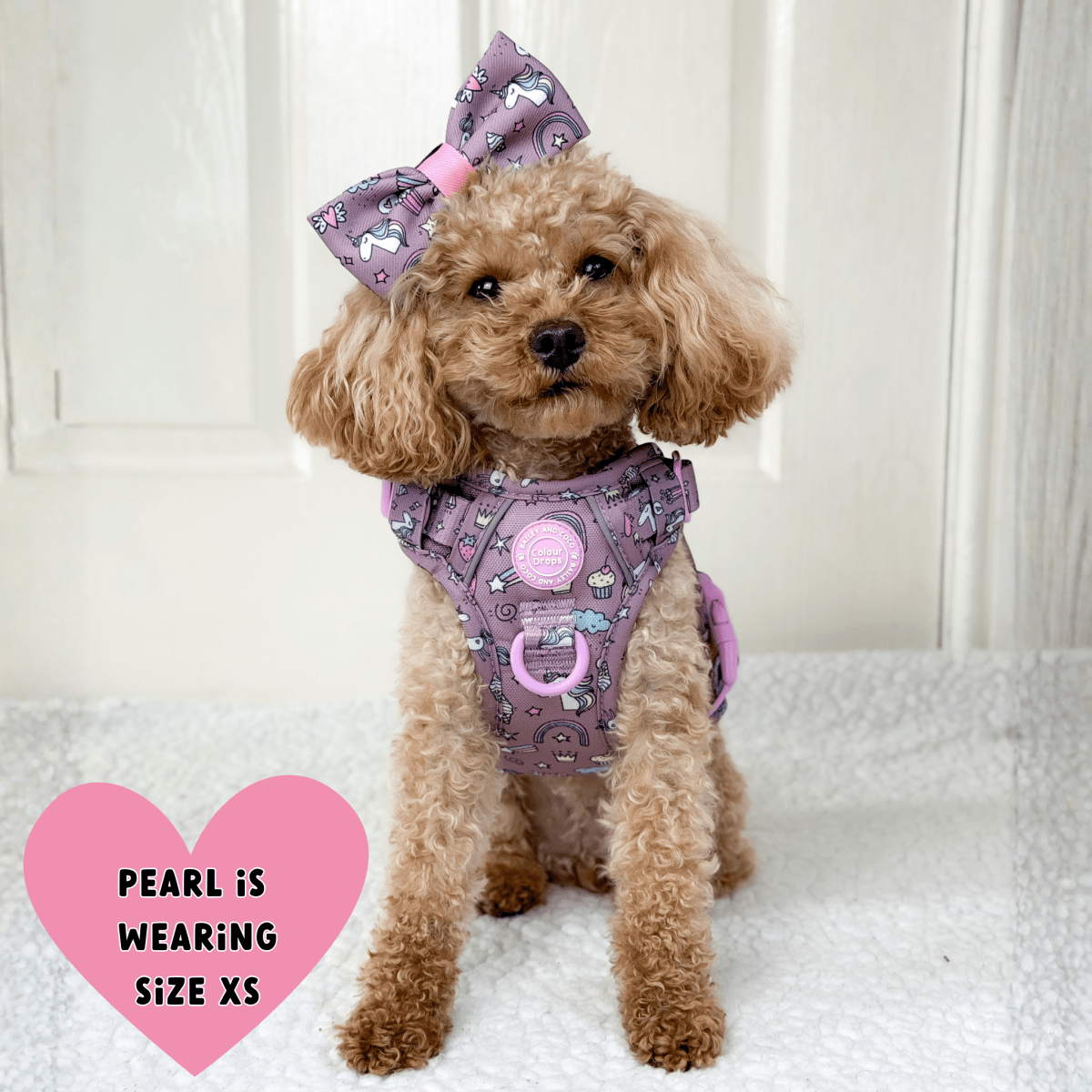 Trail & Glow Dog Harness - Colour Drops - Be Unique Unicorn - Bailey and Coco (UK)