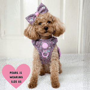 Trail & Glow Dog Harness - Colour Drops - Be Unique Unicorn - Bailey and Coco (UK)