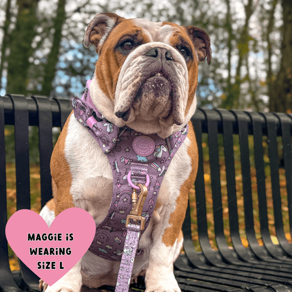 Trail & Glow Dog Harness - Colour Drops - Be Unique Unicorn - Bailey and Coco (UK)