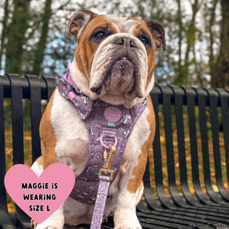 Trail & Glow Dog Harness - Colour Drops - Be Unique Unicorn - Bailey and Coco (UK)