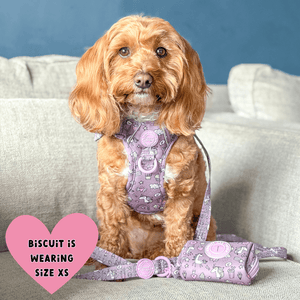 Trail & Glow Dog Harness - Colour Drops - Be Unique Unicorn - Bailey and Coco (UK)