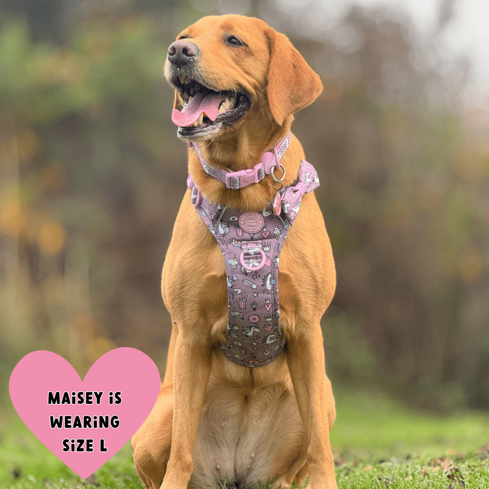 Trail & Glow Dog Harness - Colour Drops - Be Unique Unicorn - Bailey and Coco (UK)