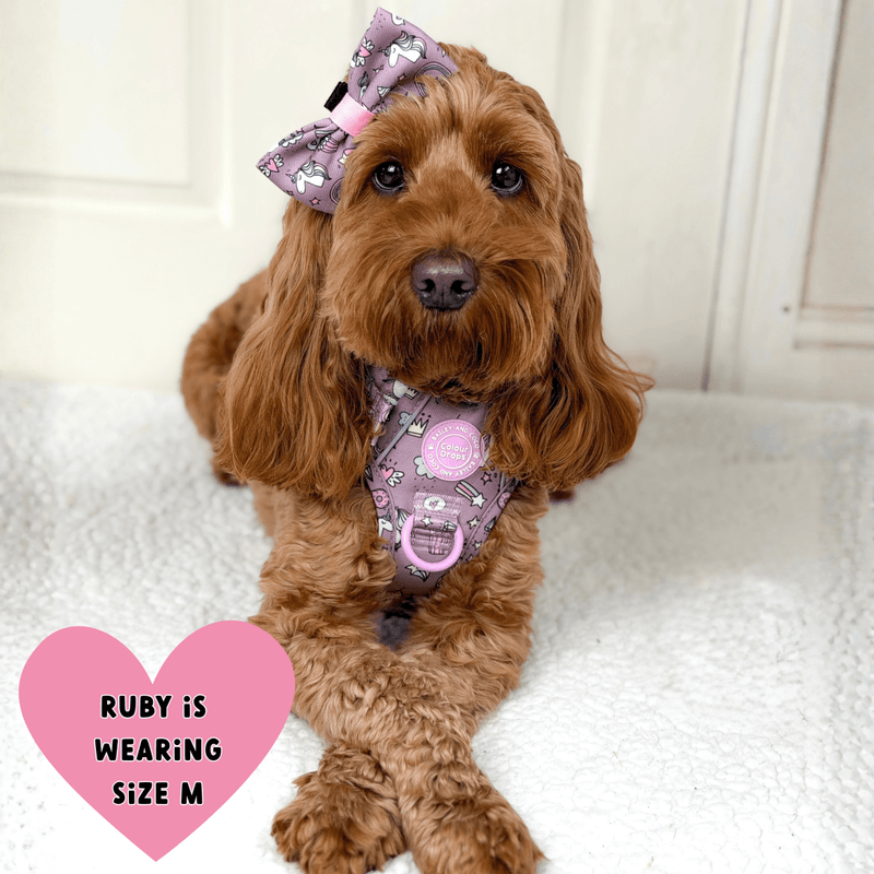 Trail & Glow Dog Harness - Colour Drops - Be Unique Unicorn - Bailey and Coco (UK)