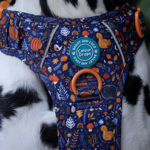 Trail & Glow Dog Harness - COLOUR DROPS® - Bewitched - Bailey and Coco (UK)