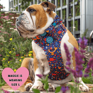 Trail & Glow Dog Harness - COLOUR DROPS® - Bewitched - Bailey and Coco (UK)