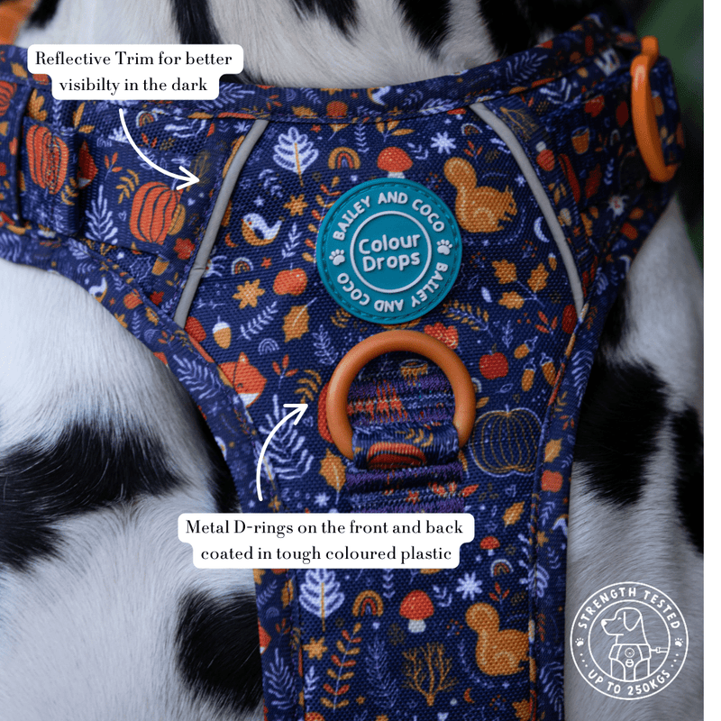 Trail & Glow Dog Harness - COLOUR DROPS® - Bewitched - Bailey and Coco (UK)