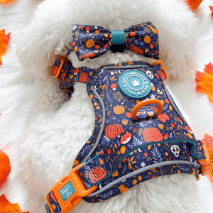 Trail & Glow Dog Harness - COLOUR DROPS® - Bewitched - Bailey and Coco (UK)
