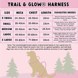Trail & Glow Dog Harness - COLOUR DROPS® - Bewitched - Bailey and Coco (UK)