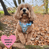 Trail & Glow Dog Harness - Colour Drops - Dino Party - Bailey and Coco (UK)