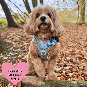 Trail & Glow Dog Harness - Colour Drops - Dino Party - Bailey and Coco (UK)