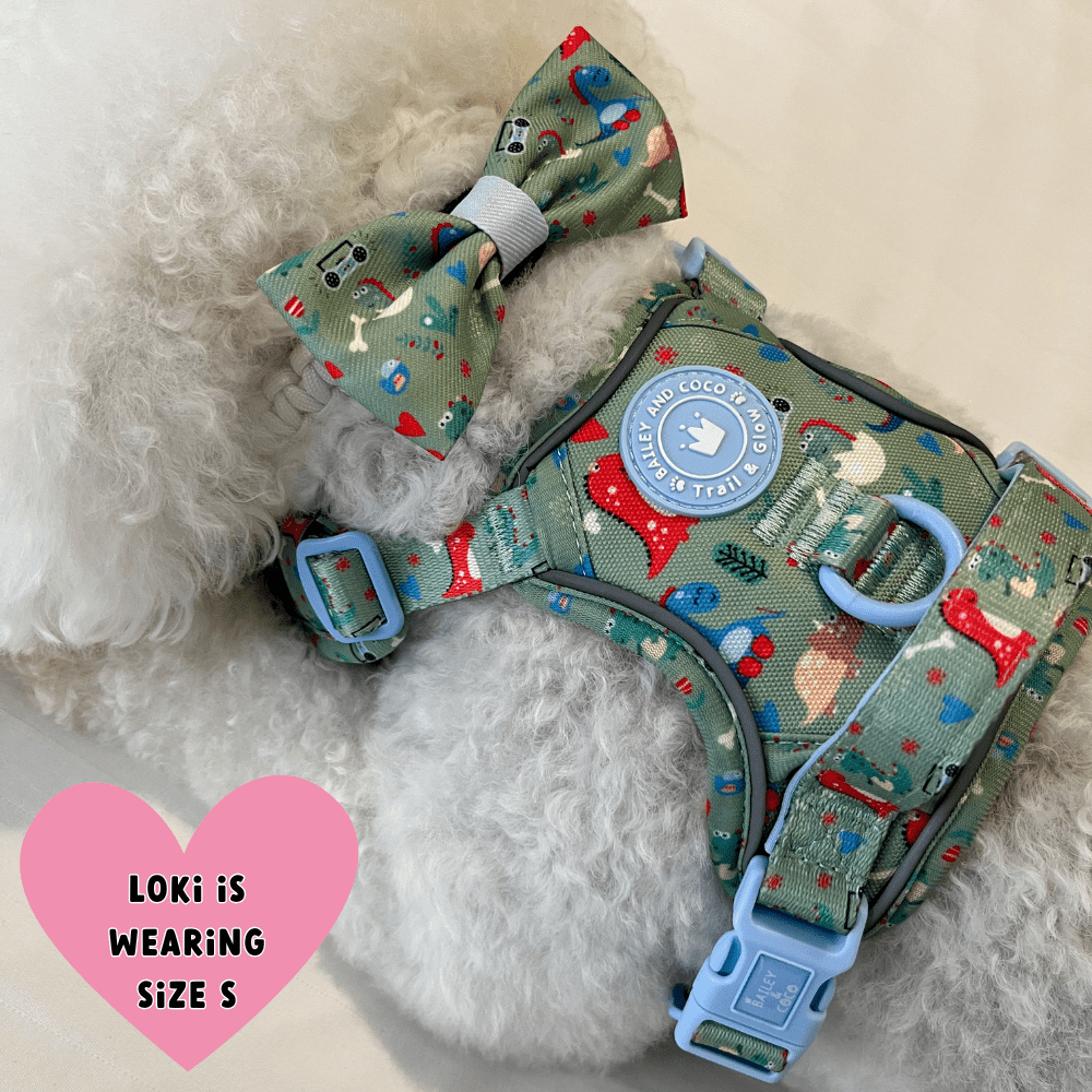Trail & Glow Dog Harness - Colour Drops - Dino Party - Bailey and Coco (UK)