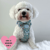 Trail & Glow Dog Harness - Colour Drops - Dino Party - Bailey and Coco (UK)