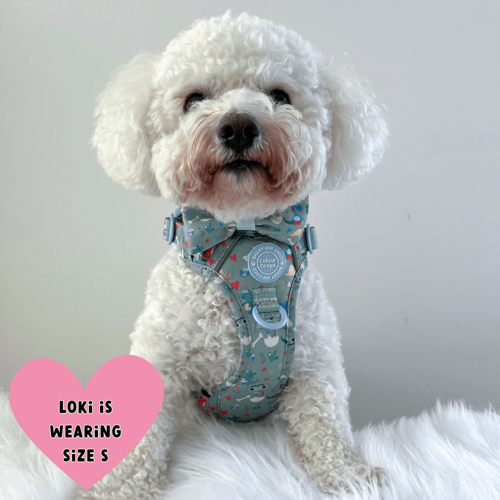 Trail & Glow Dog Harness - Colour Drops - Dino Party - Bailey and Coco (UK)