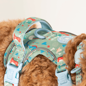 Trail & Glow Dog Harness - Colour Drops - Dino Party - Bailey and Coco (UK)