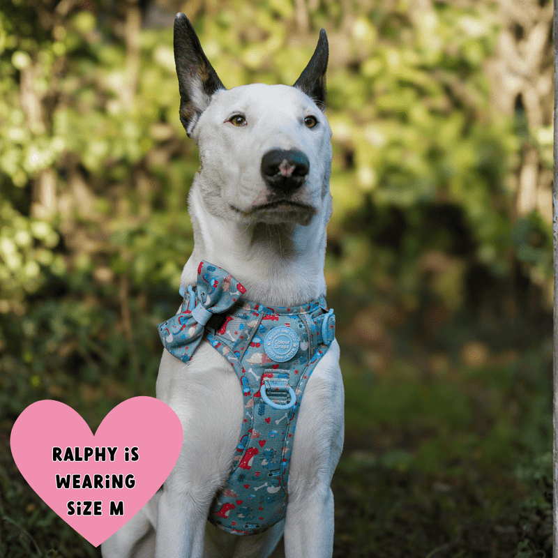 Trail & Glow Dog Harness - Colour Drops - Dino Party - Bailey and Coco (UK)