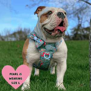 Trail & Glow Dog Harness - Colour Drops - Dino Party - Bailey and Coco (UK)